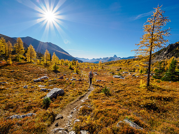 Hiking through Citadel Pass.