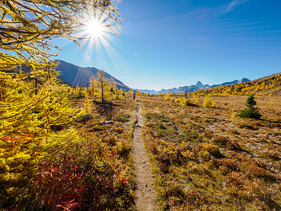 Hiking through Citadel Pass.