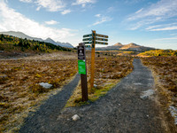 Hiking the Sunshine Meadows to Howard Douglas Lake.