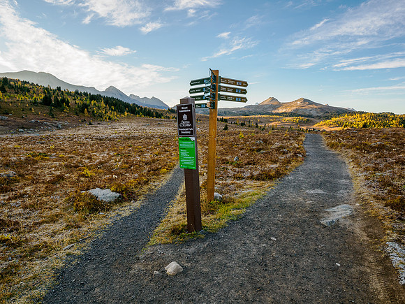 Hiking the Sunshine Meadows to Howard Douglas Lake.
