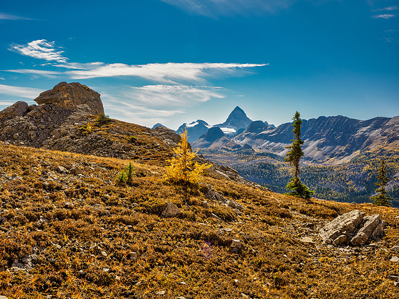 Views to the Assiniboine core area.