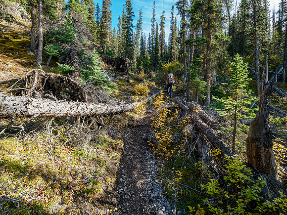 Hiking the Valley of the Rocks Trail to Og Lake.