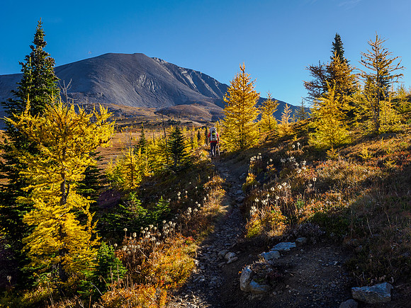 Hiking from Howard Douglas Lake to Citadel Pass.