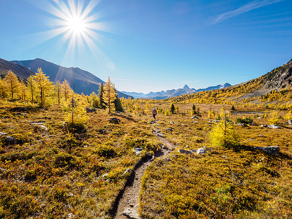 Hiking through Citadel Pass.