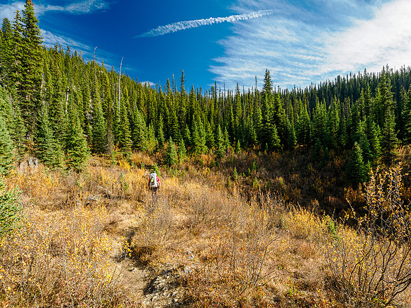 Hiking the Valley of the Rocks Trail to Og Lake.