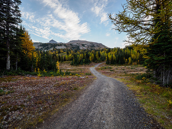 Hiking up to Sunshine Meadows from the village.