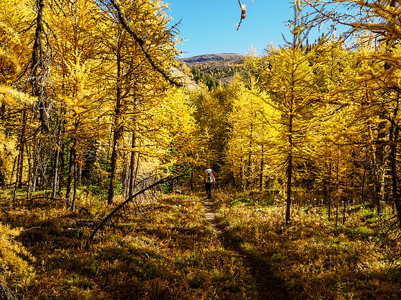 Hiking through Citadel Pass.