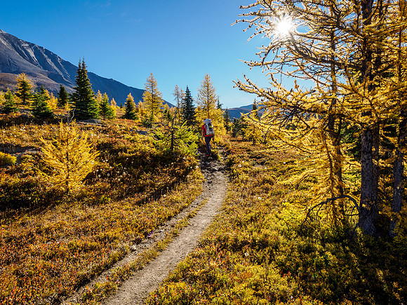 Hiking from Howard Douglas Lake to Citadel Pass.