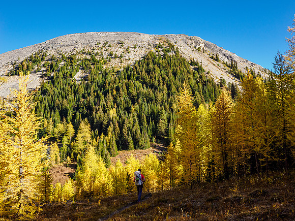 Hiking down from Citadel Pass to the Porcupine junction.