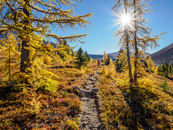 Hiking from Howard Douglas Lake to Citadel Pass.