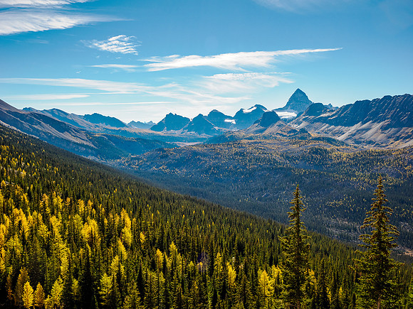 Views to the Assiniboine core area.