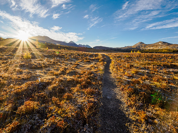 Hiking the Sunshine Meadows to Howard Douglas Lake.