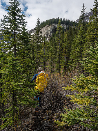 As long as you don't expect a highway you'll appreciate the trail when you're on it. Believe it or not, we are on it here. :)