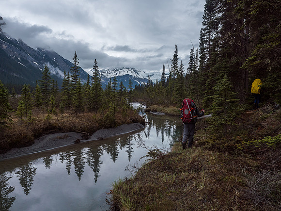 Alongside the Glacier River.