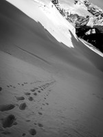 Looking down our ascent tracks over the schrund and down to the North Glacier.