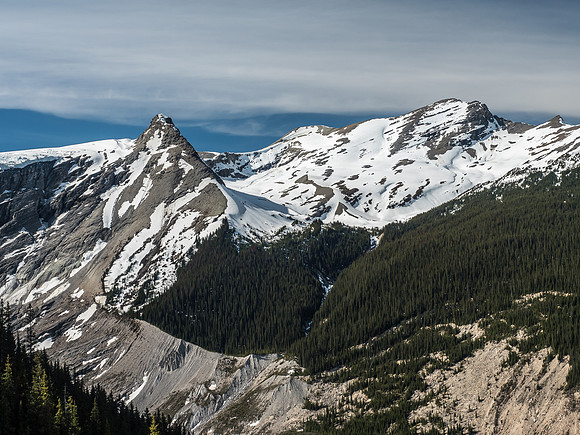 Looking across the Glacier River valley to the Lyell Meadows and the route to the Lyell Icefields via Arctomys Peak.