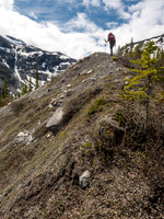 Finally breaking out of the trees onto the crest of an old moraine. The Mons Glacier obviously used to come right down this valley