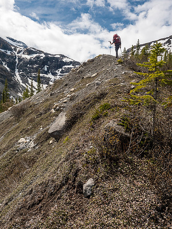 Finally breaking out of the trees onto the crest of an old moraine. The Mons Glacier obviously used to come right down this valley