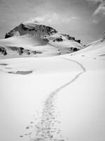Wow! Did we just climb that?! Our tracks clearly visible marching directly up the NW face of Forbes to the west ridge.
