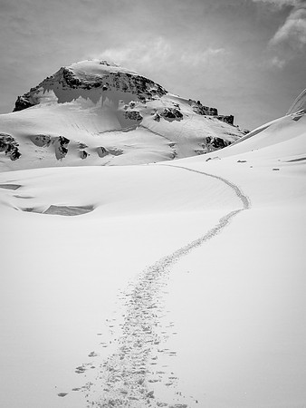 Wow! Did we just climb that?! Our tracks clearly visible marching directly up the NW face of Forbes to the west ridge.