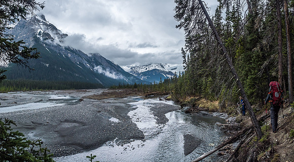 Whenever the Glacier River abuts the north bank, the trail gets a bit gnarly.