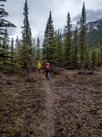 There's a trail. Somewhere.