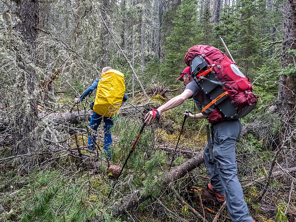 There was some blowdown along the trail to Glacier Lake but not much, thankfully.