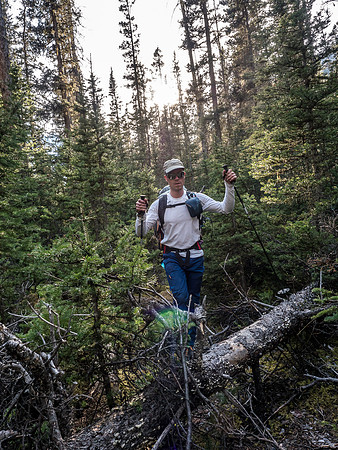 The last few km's to the western end of the Glacier River are the most overgrown or blown down.
