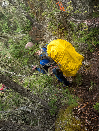 There's some bushwhacking no matter what.