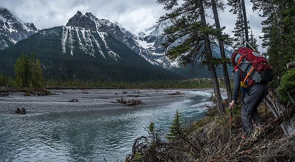 Whenever the Glacier River abuts the north bank, the trail gets a bit gnarly.