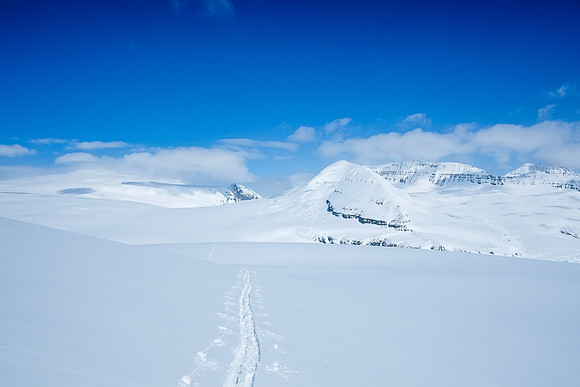 Looking back along our approach tracks towards the top of the Athabasca Glacier approach just left of center in the distance.