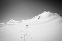 Ferenc skis towards the northeast ridge / face of Castleguard.