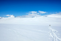 Ferenc skis down the northeast shoulder of Castleguard towards the Columbia neve. This was the best skiing of the day.