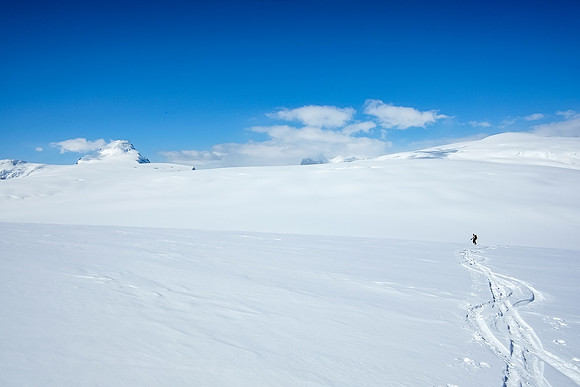 Ferenc skis down the northeast shoulder of Castleguard towards the Columbia neve. This was the best skiing of the day.