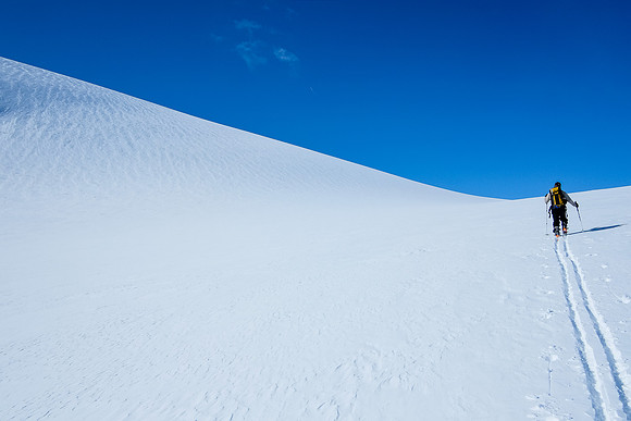 We break onto the Columbia neve. Mount Columbia is just visible at center and Snow Dome too. Androlumbia at right.