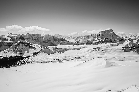 Alexandra at left, Cockscomb at center and Bryce at right.