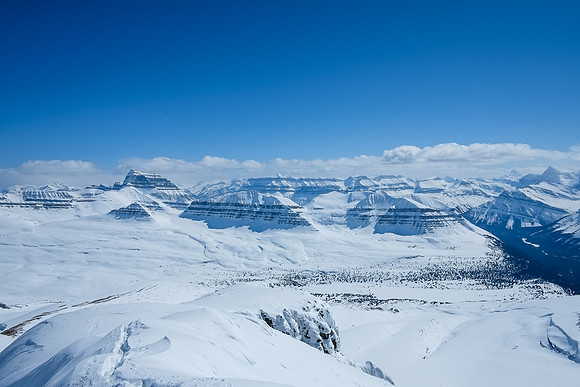 Looking over the Castleguard Meadows to Mount Saskatchewan.