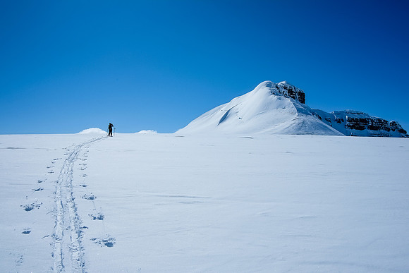 Ferenc skis towards the northeast ridge / face of Castleguard.
