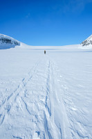 The Saskatchewan Glacier.