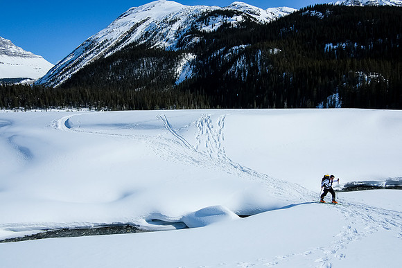 Just before the Big Bend parking lot, we can still cross the North Saskatchewan River on a snow bridge.