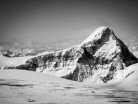 Mount Columbia - I was part way up that ridge over 11000 back in February!