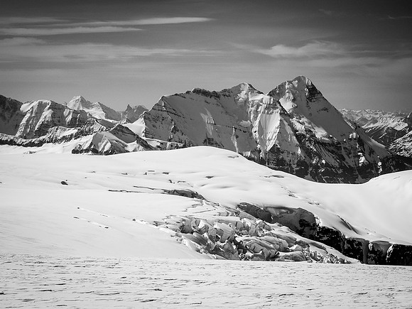 Mount Bryce seen from the west shoulder of Snow Dome.
