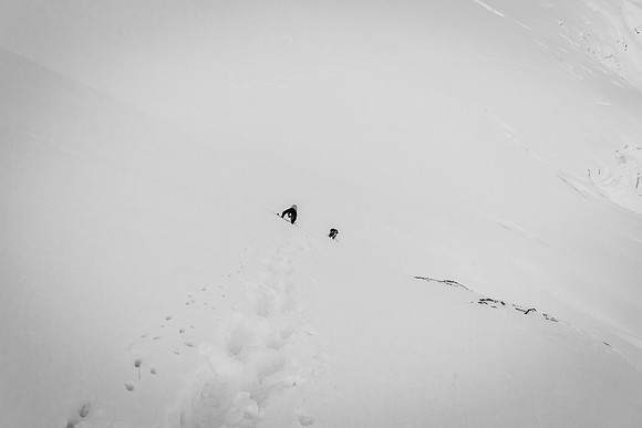 Down climbing the east face of Mount Columbia.