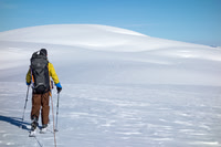 Skinning back to camp.