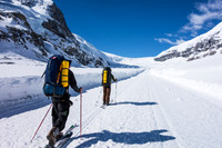 Skinning up the snow coach road on the Athabasca Glacier.