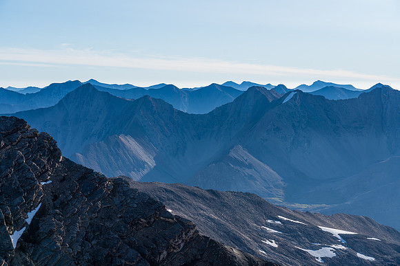 Wapiti in the far distance.