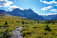 Views back down the meadows towards Noseeum Peak.