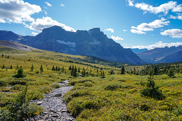 Views back down the meadows towards Noseeum Peak.