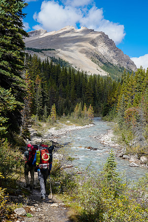 Mike and Cornelius hike the Mosquito Creek trail.