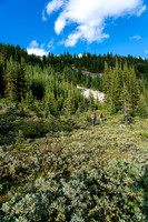 Ascending forested slopes to the second pass / col of the day.